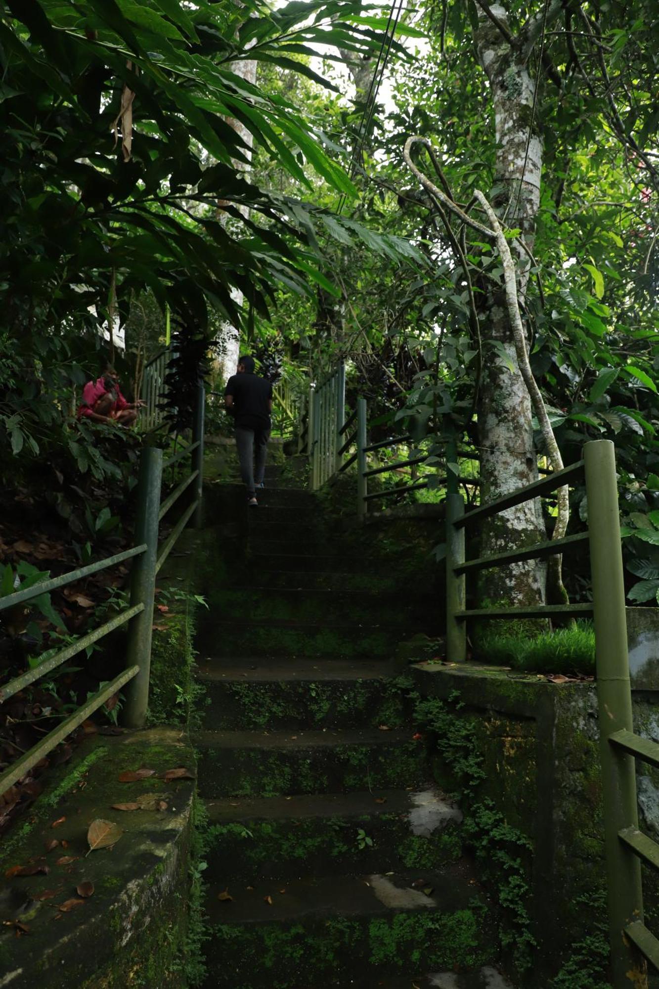Nature Villa Anachal Exterior photo
