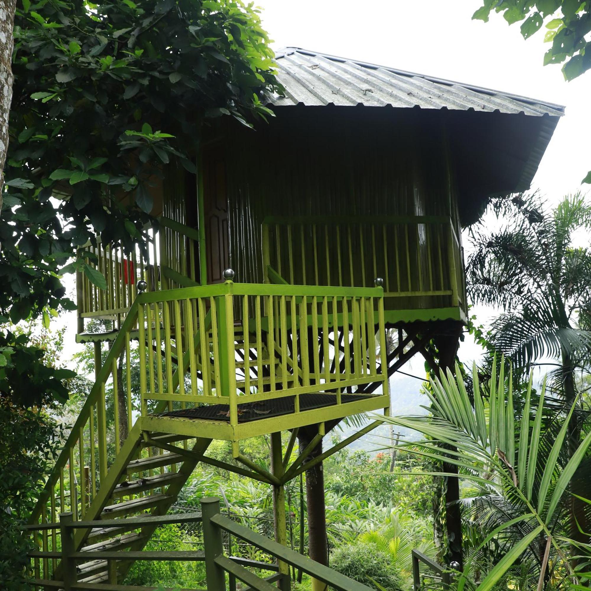 Nature Villa Anachal Exterior photo